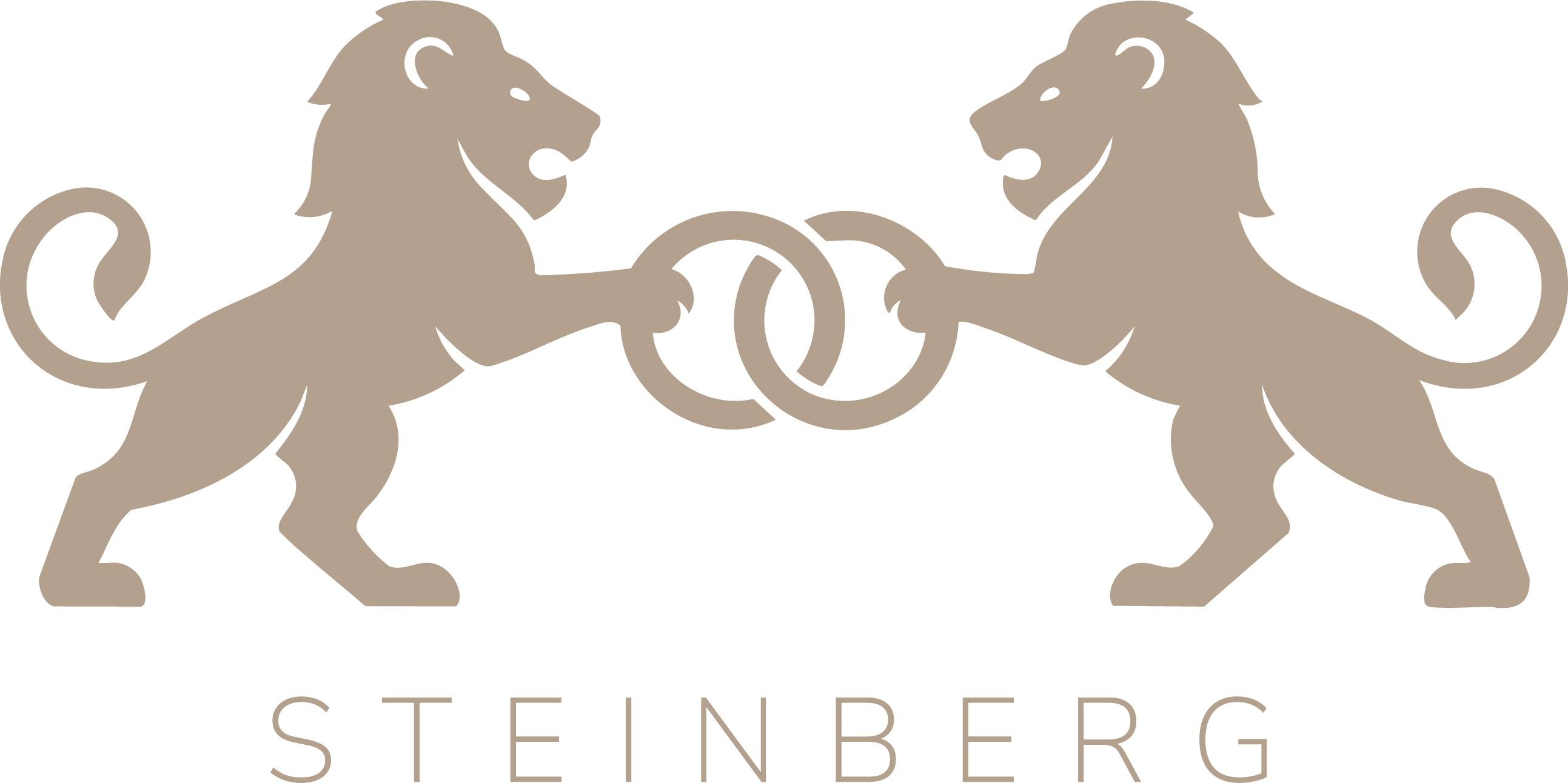 Steinberg Ringfabrik Logo